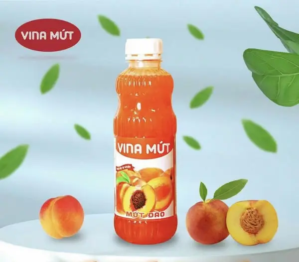 Sinh Tố VINA Mứt Nhiều Vị 2
