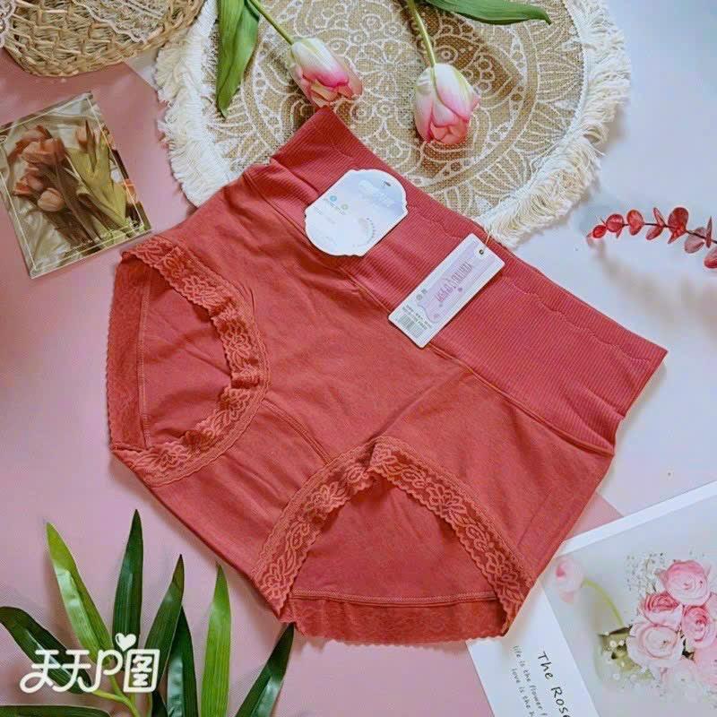 Product Introduction of Sét 5 Quần Lót Cotton Cao Cấp Cạp Cao Nữ Women Voi Nhung 3