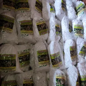 Boster kelengkeng serbuk murni pupuk pupuk ponska indonesia