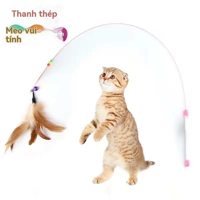 Đồ chơi mèo, Đồ chơi lông vũ cho mèo, Gậy đồ chơi cho mèo, Bộ 5 món tương tác với mèo con, Gậy dây trêu mèo 4