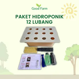 Paket hidroponik lengkap 12 lubang 1 bak / paket hidroponik lengkap sampai panen Set Benih