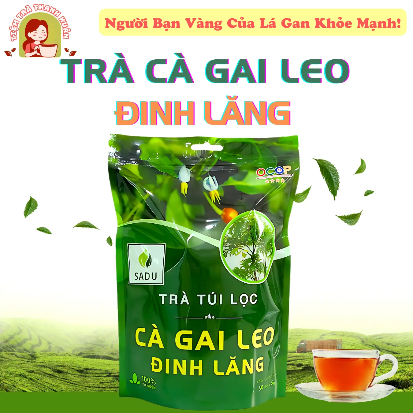 Trà Cà Gai Leo Đinh Lăng SADU 250g (50 túi lọc) Hỗ Trợ Thanh Nhiệt Giải Độc Mát Gan - Nước Trà Tea Chè càgaileo Không Chua