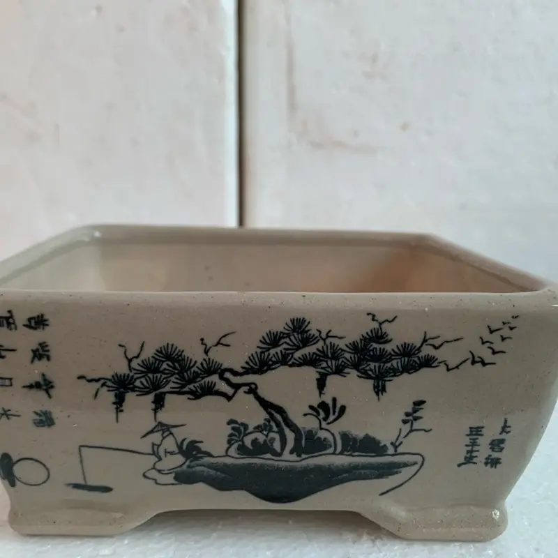 Sét 4 chậu Mini bonsai hoa văn 2 mặt sen đá nuôi cây 2