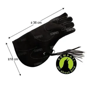 SEMPATI Sarung Tangan Kulit Suade Glove Latih Burung Parrot Parot GLVKLT