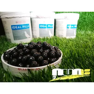 IDEAL PILL VERSELE LAGA VITAMIN PIL BURUNG MERPATI KOLONG Untuk masa Istirahat / Mengeram