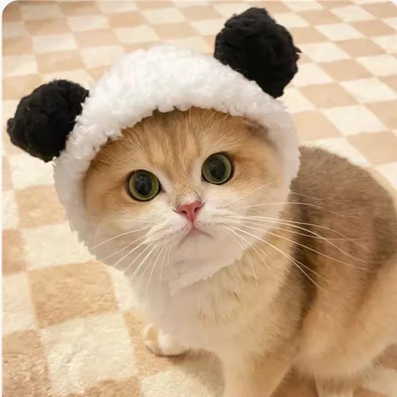 Product Introduction of Funny Pet Costumes: Starfish, Bream, Pig, Chicken, Bear, Panda Headbands for Cats & Dogs 8