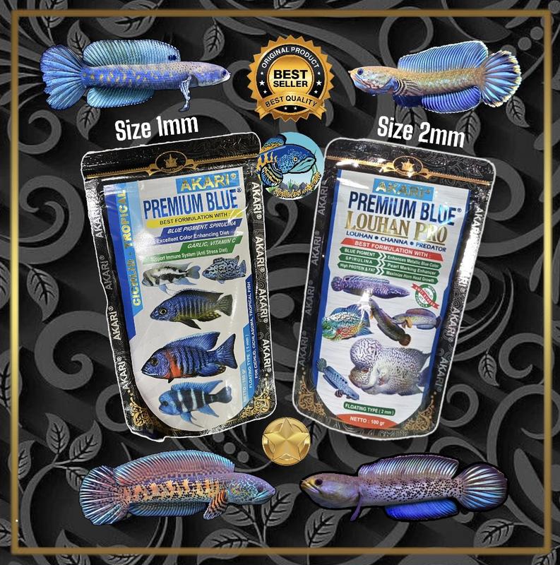 Cám Akari Blue  | Hỗ Trợ Sắc Tố Xanh Dương Cho Lóc Lạnh