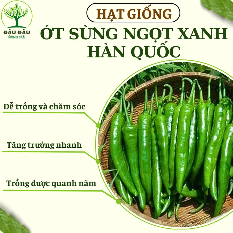 Hạt giống Ớt sừng vàng, Ớt hiểm, Ớt xiêm xanh, Ớt chuông, Ớt sừng ngọt HQ và Ớt ngũ sắc (Ớt cầu vồng) trung đoàn 7