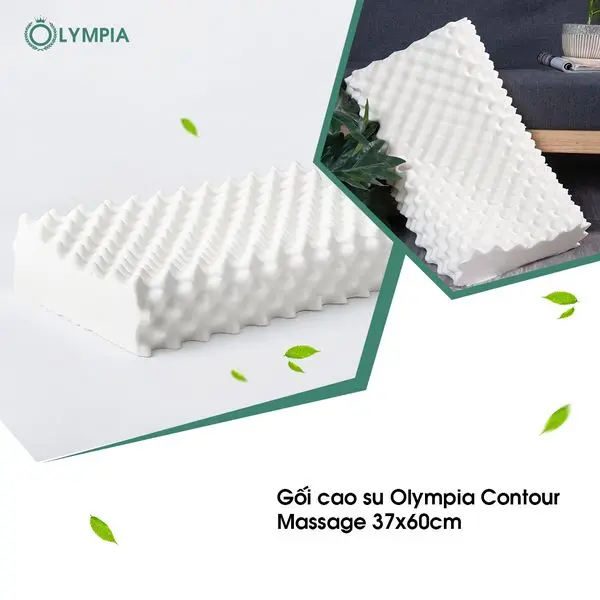 Gối cao su Olympia Contour Massage