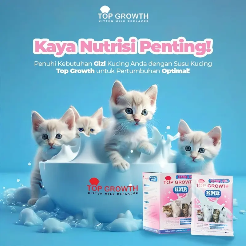 SC Top Growth Susu 1 Box isi 12 Bayi Anak Kucing 0 2 Bulan Kitten Pengganti ASI Penggemuk Baru Lahir 3