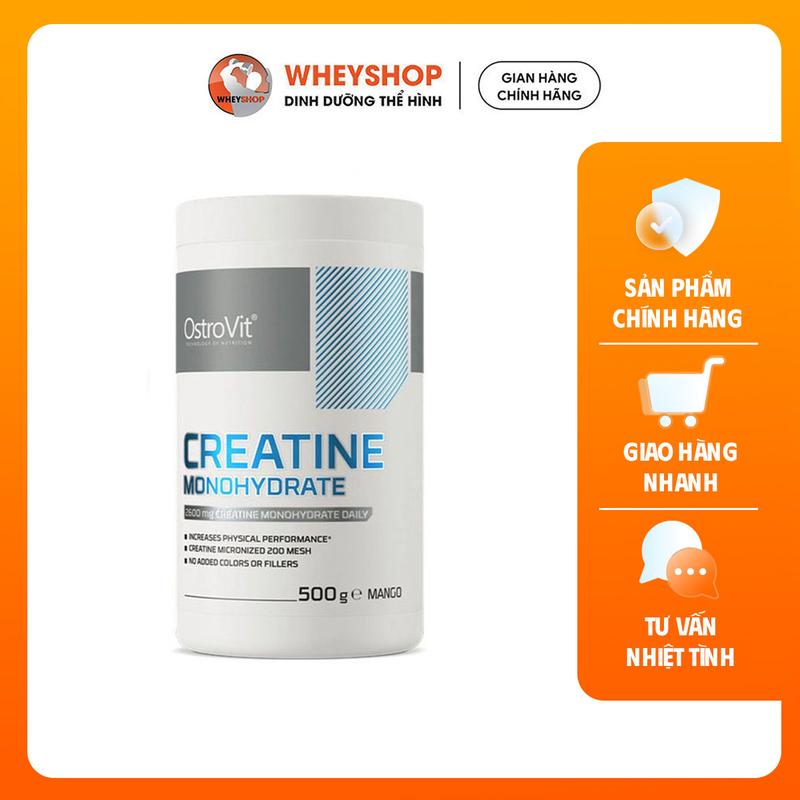 Bột hỗ trợ cải thiện sức mạnh Ostrovit Creatine Monohydrate 500g - 100 lần sử dụng - WHEYSHOP VN