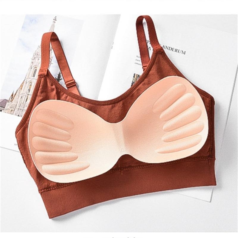 Áo Ngực Không Dây, Bộ 3 Chiếc, Thiết Kế Liền Mạch, Không Có Vòng Thép, Đồ Lót Cho Nữ, Áo Ống, Thiết Kế Lưng Đẹp, Làm Bằng Bông Tươi Mềm Mại Và Mỏng, Thích Hợp Cho Giới Trẻ, Đồ Lót, Áo Ngực 5