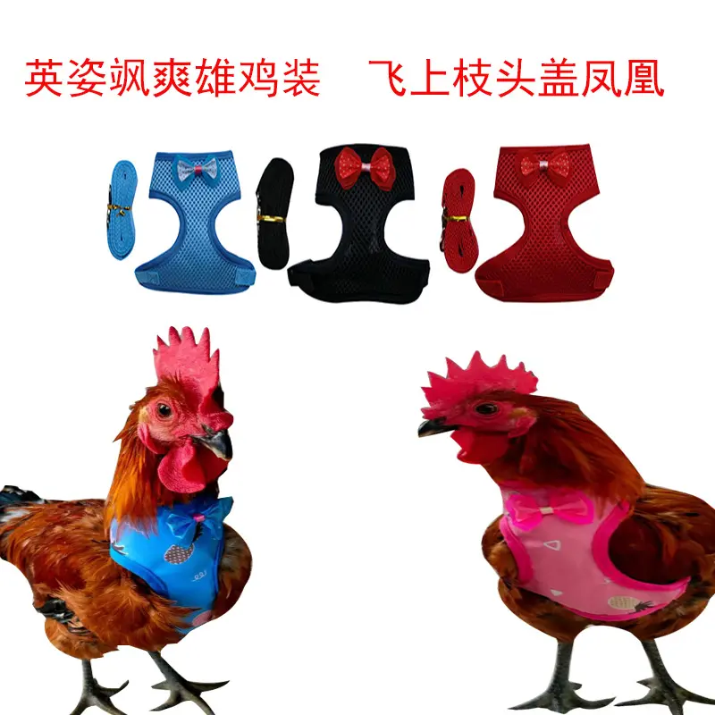2025 Rooster Leash Pet Chicken Handheld Leash Male Chicken Female Chicken Harness European and American Chicken Walking Leash