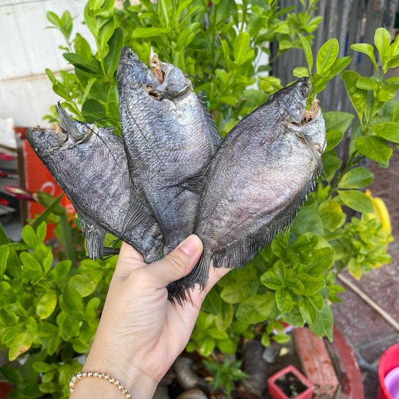 [MẶN VỪA 16-18con) 1kg khô cá sặc bổi 3 nắng dẻo, quý khách ăn Lạt nên ngâm nước