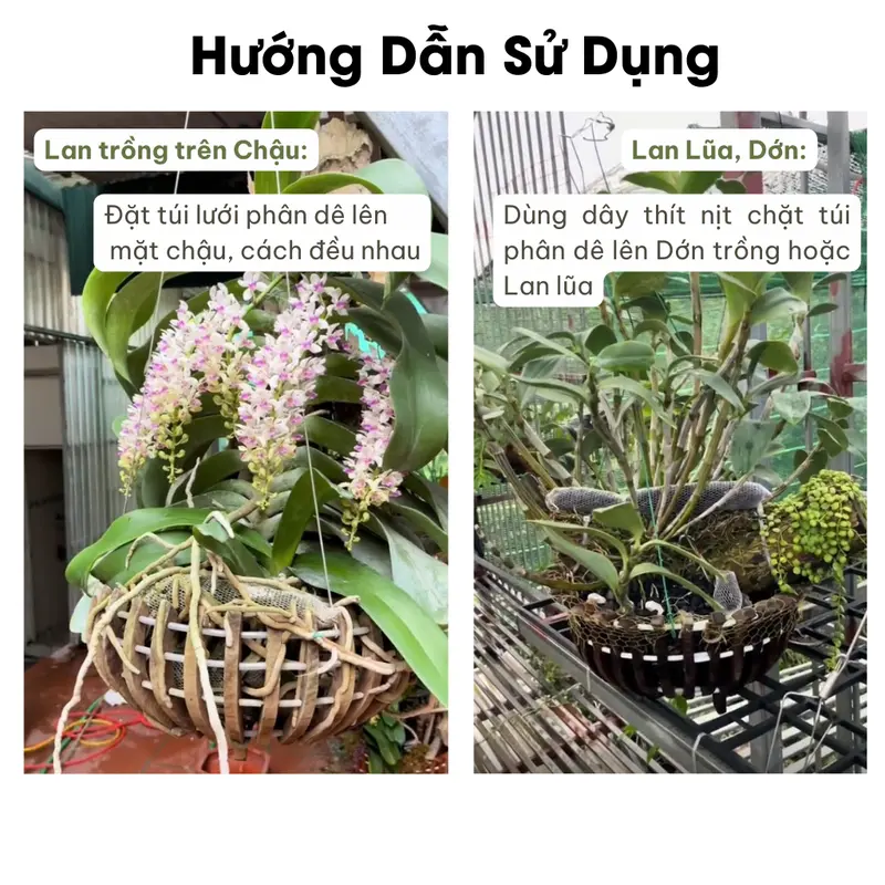 Phân dê trồng Hoa Lan, Túi lưới  20cm Đã xử lý, ComBo 50 Túi lưới 20cm ( tặng 1 kích rễ ) 6