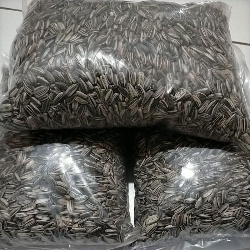 biji kuaci 500gram untuk makanan hamster dan burung 2