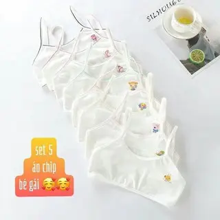 Set 5 áo chíp lá cho bé gái (freesize dưới 30kg)