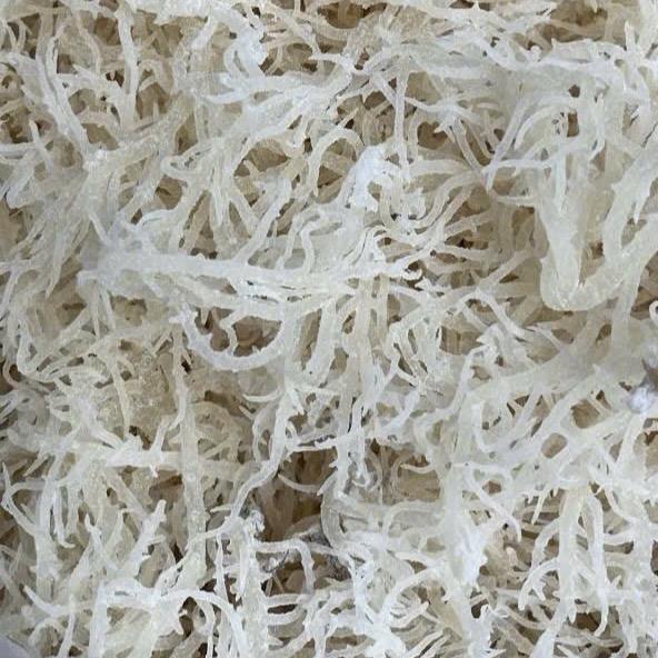 Rong sụn biển trắng dùng làm nước mát với hạt ươi , trộn gỏi , sea moss gel, nấu chè 3