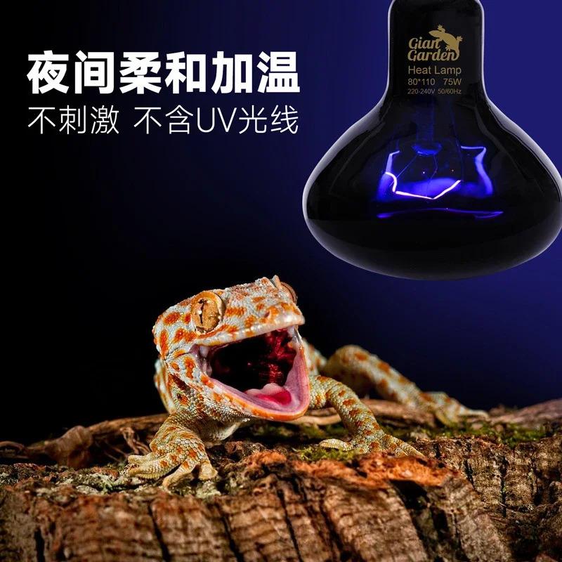 Product Introduction of Pet Heating Lamp Reptile Snake Heat Night Light 25W 50W 75W 100W  Lizards Snakes Reptiles Lamp Heat Bulb Feeding Box Supplies 22