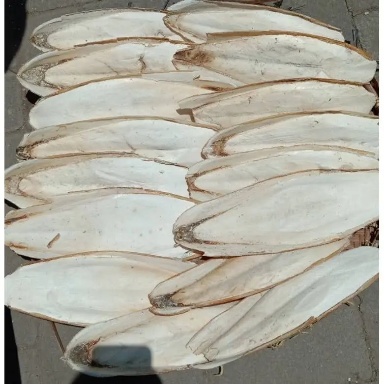 TULANG SOTONG 15-20cm UNTUK KALSIUM TELUR HEWAN PELIHARAAN