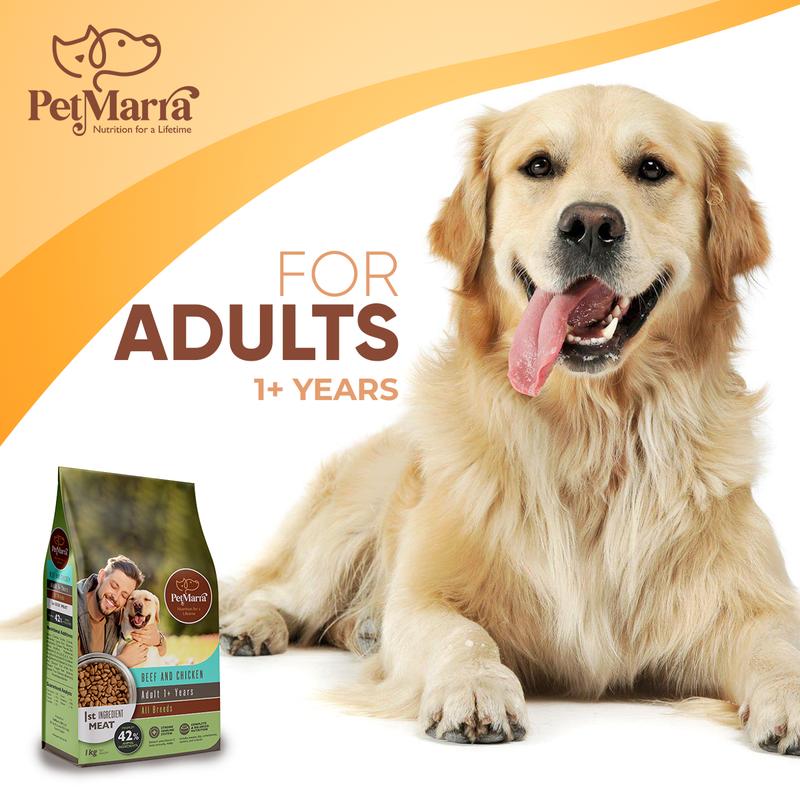Product Introduction of PetMarra Adult Dog Dry Food Ages 1 Year and Up Beef and Chicken Flavor 1kg - PetMate dogs kibble meat chickens 1