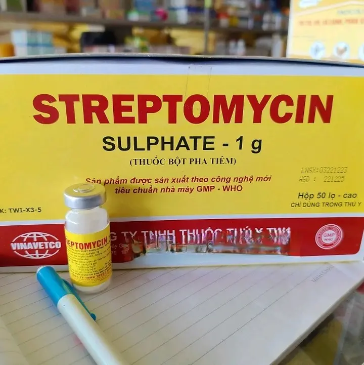 Bột Pha Nước Streptomycin Tụ Huyết Trùng, Đường Ruột, Viêm Màng Phổi