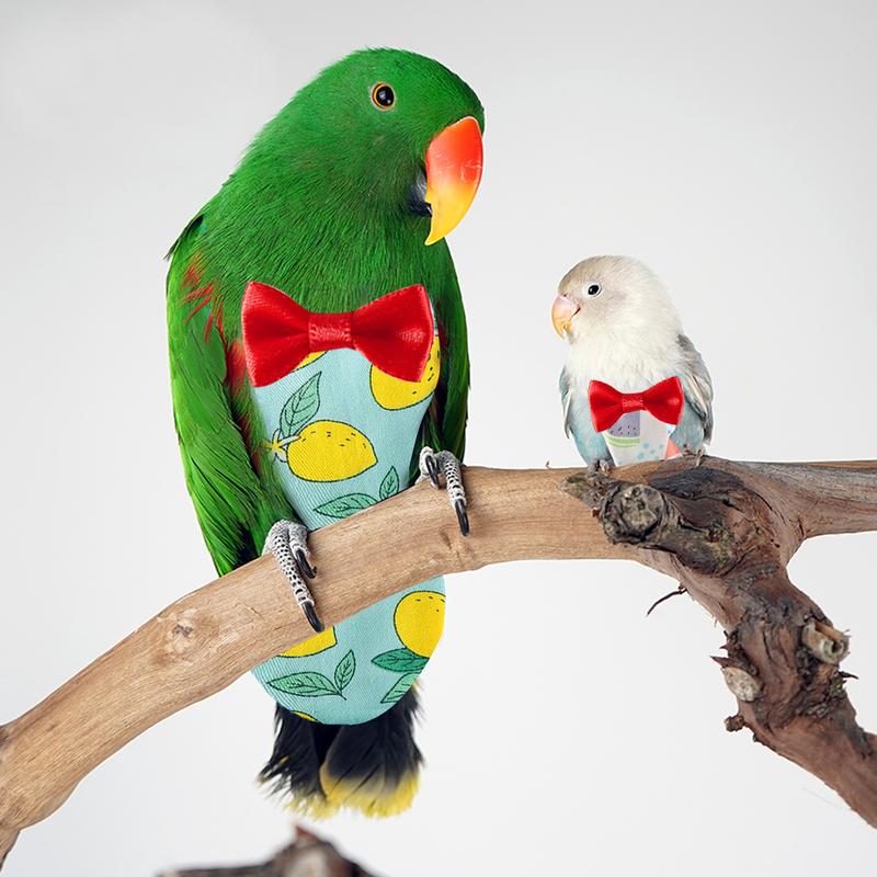 Product Introduction of Parrot Diaper Flight Suit Diaper Clothes Parrot Parakeet Pigeon Medium Large Pet Bird 43