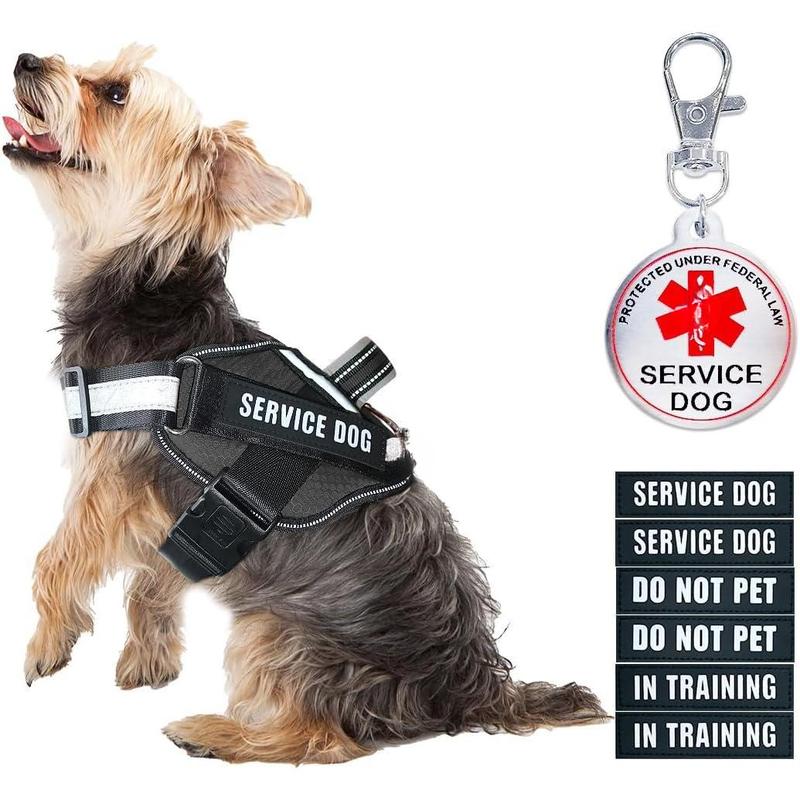 Service dog in training vest do not shops pet