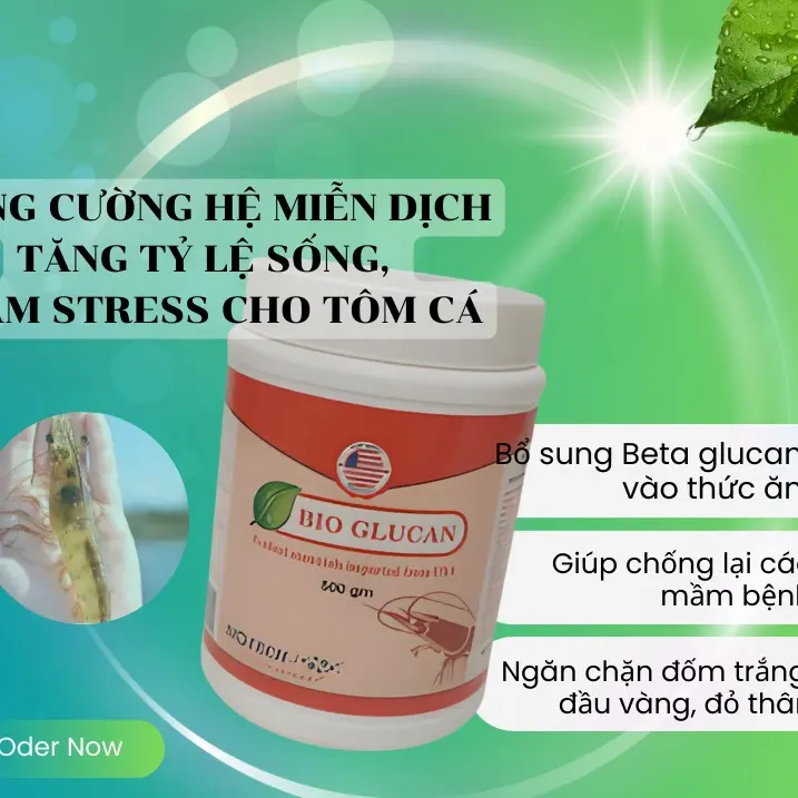 BIO GLUCAN - TĂNG CƯỜNG HỆ MIỄN DỊCH, TĂNG SỨC ĐỀ KHÁNG, TĂNG TỶ LỆ SỐNG, GIẢM STRESS CHO TÔM CÁ