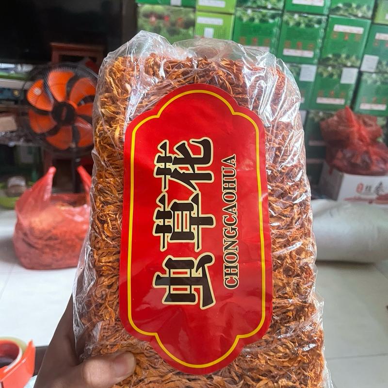 Bông Đông Trùng Hạ Thảo sấy khô 2