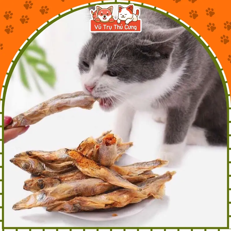Snack Thịt Gà Sấy, Cá Sấy dinh dưỡng Cho Chó Mèo 4