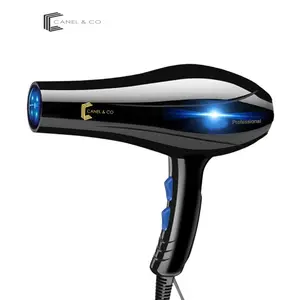 CANEL & CO 850W  Blu-Ray Cahaya Beauty Salon Cold DCF 01 Hairdryer Dryer Pengering Biru