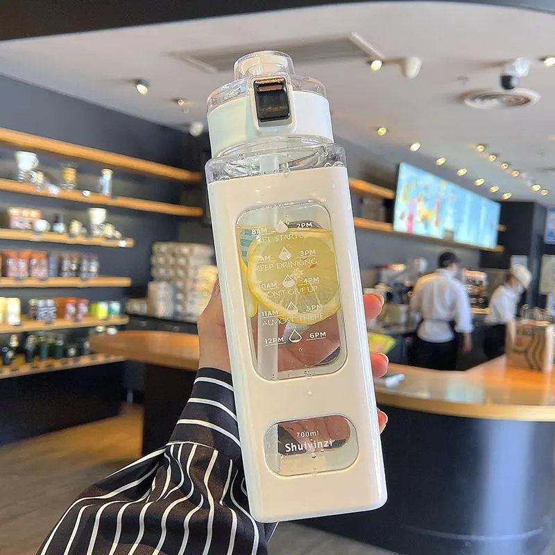 Sports Water Bottle, 700ml Large Capacity Drinking Bottle with Straw & Handle, Portable Straw Drinking Cup for Outdoor Sports, Christmas Gift