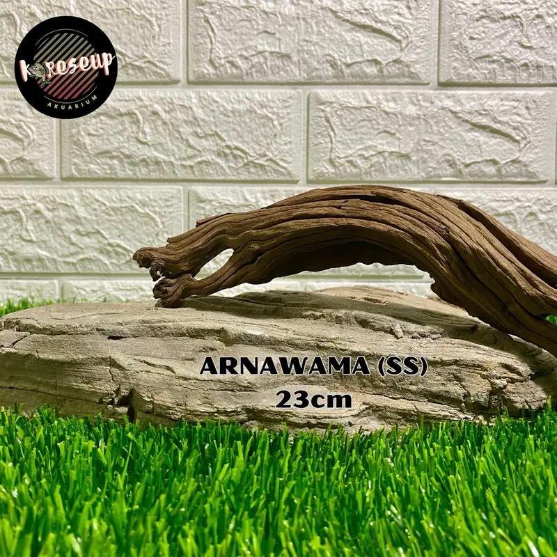 AKAR AQUASCAPE SANTIGI LAUT TENGGELAM RANDOM (size SS) untuk hiasan Aquarium 30cm 6