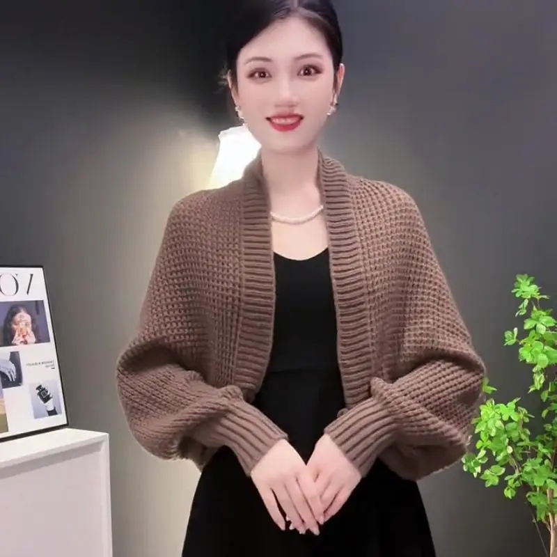 Khăn Choàng Dài Tay, Dành Cho Nữ, Dễ Phối Đồ, Thời Trang, Dáng Rộng Vừa Vặn, Dệt Kim Bánh Quế, Ấm Áp Cho Mùa Thu Và Mùa Đông, Áo Cardigan Thanh Lịch, Có Thể Mặc Ngoài Trời Women Top
