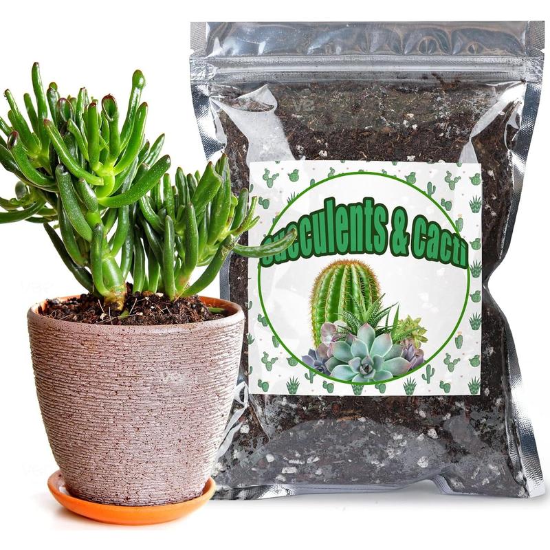 Cactus and Succulent Soil Potting Mix 1qt, Well Draining Chunky ...