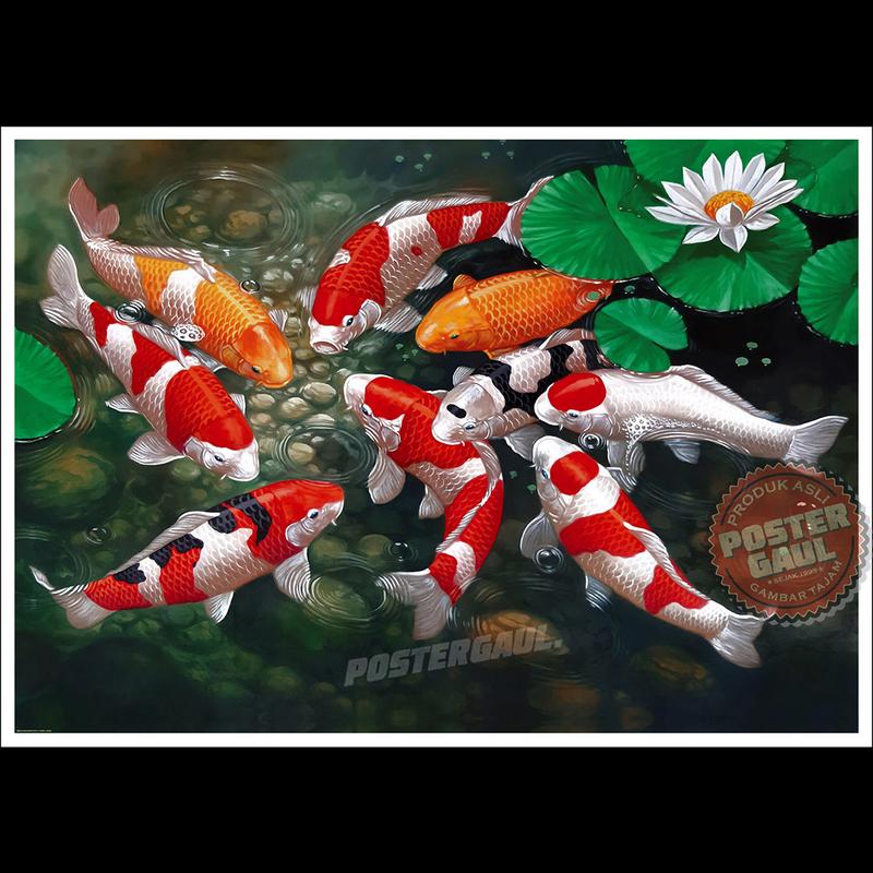 Poster Jumbo REPRODUKSI LUKISAN SATWA : IKAN KOI #MSC021 - ukuran 50 x 70 cm 2