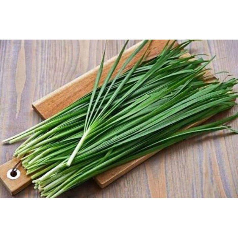 Benih Daun Kucai Hibrida Known You Seed - Benih Sayuran Gloyong Farm 4