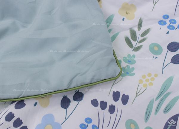 Product Introduction of Chăn hè xơ đậu nành 19