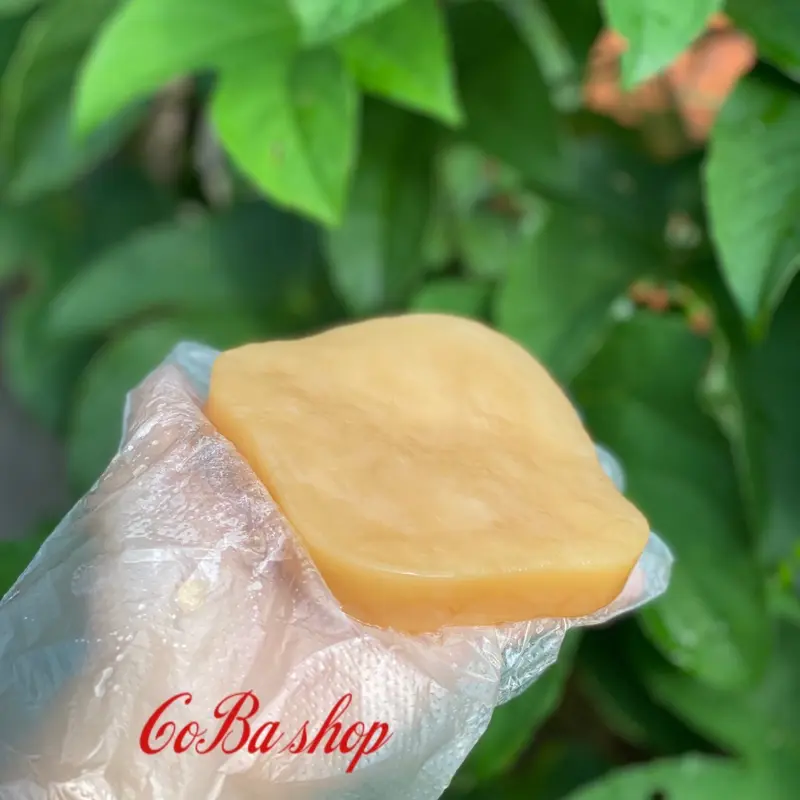 Set Trà Kombucha 4 Món Tự Nhiên Tea Nước Trà 6
