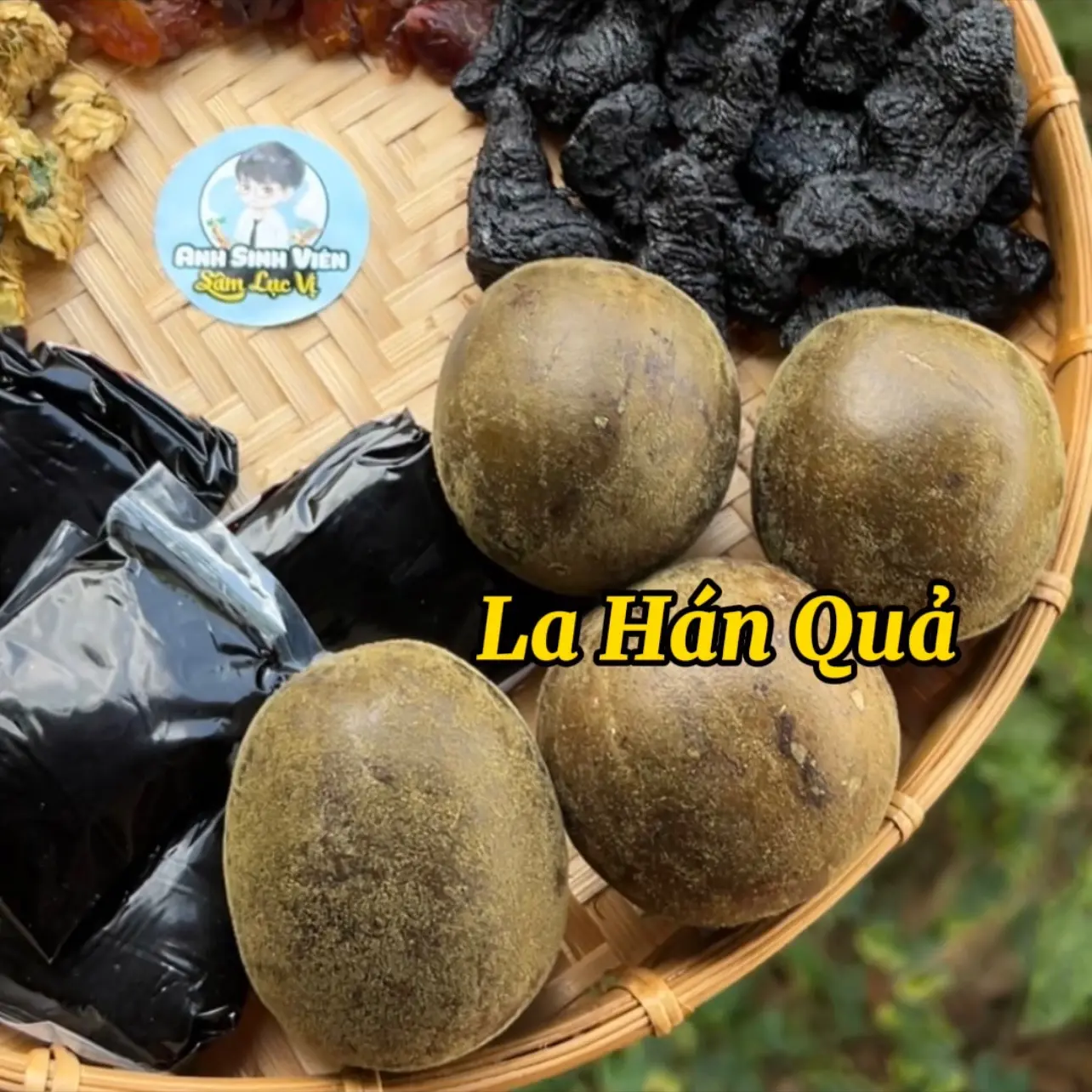 Sâm Bi Đao Anh Sinh Viên Combo 2 gói nguyên liệu Trà 1 set nấu 12 lít Nước Trà Tea Chè | BigBuy360 - bigbuy360.vn Sâm Bi Đao Anh Sinh Viên Combo 2 gói nguyên liệu Trà 1 set nấu 12 lít Nước Trà Tea Chè | BigBuy360 - bigbuy360.vn