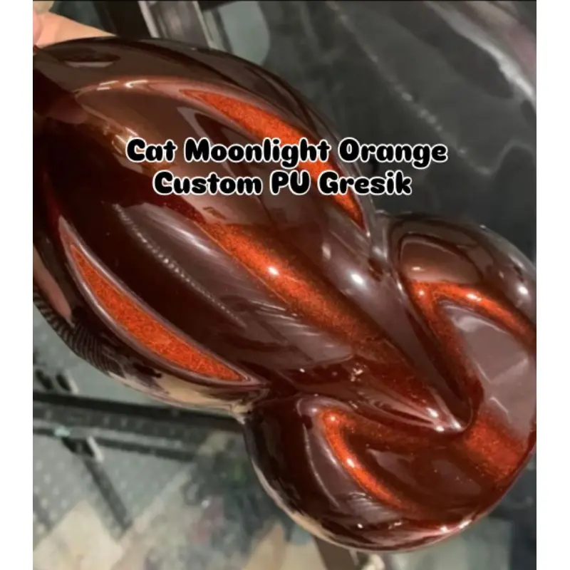 cat moonlight orange PU custom Gresik 2