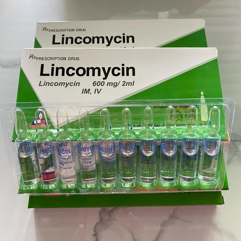 LINCO KHÁNG SINH phổ rộng trị tang gà đá và các bệnh nhiễm khuẩn trên gà , gia súc . Tặng giảm đau , tiêu viêm và giải độc gan. Ống 2ml , 1 hộp 10 ống . 1