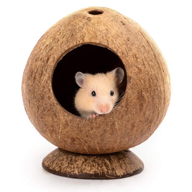 Product Introduction of Practical Coconut Hamster House Bite Resistance Wear Resistant Bite-resistant Natural Coconut Shell Warm Guinea-pig Hamster Hideout House 10