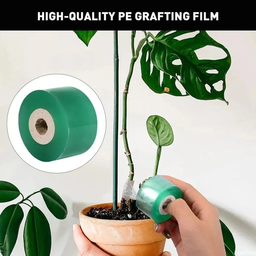 New 2/3/4cm Grafting Film Tape Self-adhesive Stretchable Seedlings Protection Membrane PE Waterproof Garden Grafting Tape