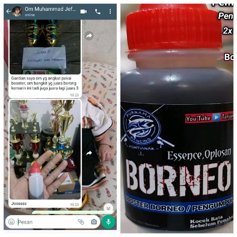 Booster Borneo / Pengumpul Ikan 1