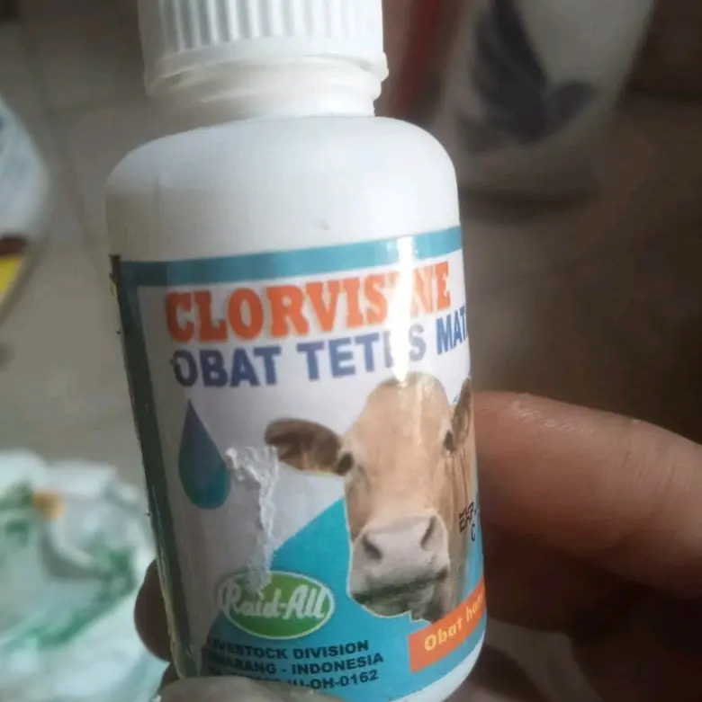 tetes mata hewan ternak sapi kambing kuda babi