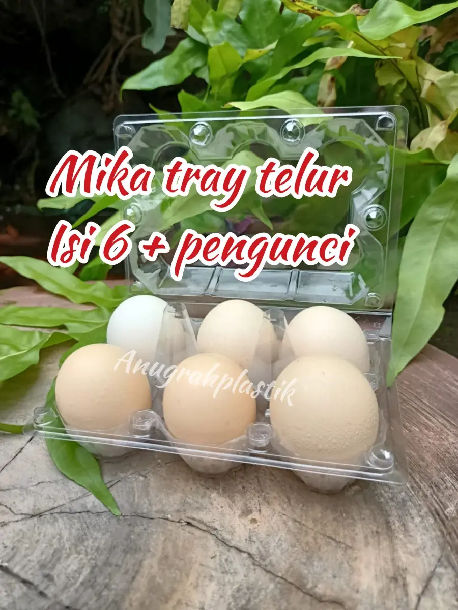 Mika tray telur isi 6 pakai pengunci