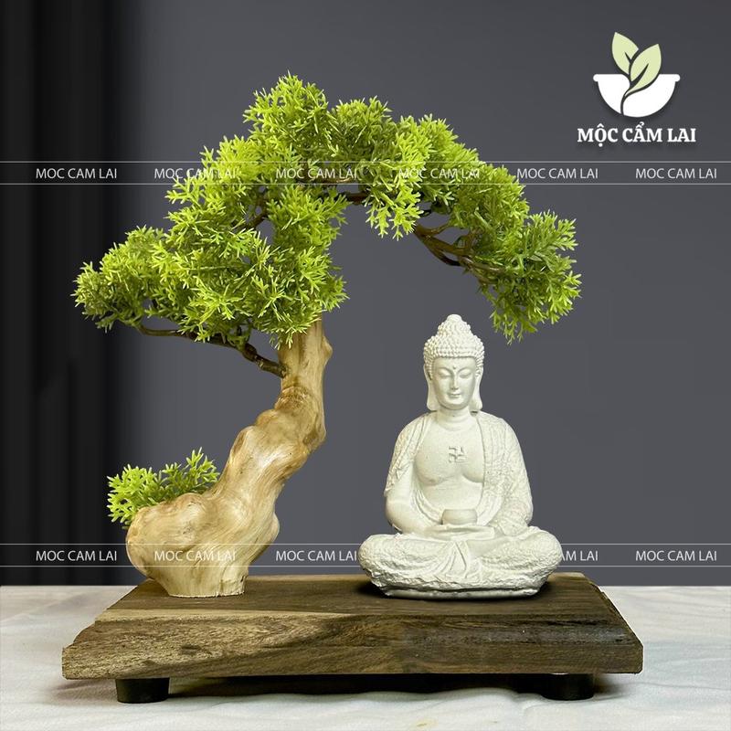 Bộ Tiểu Cảnh Bonsai Mini Đế Gỗ Decor Phòng Trang Trí Nhà