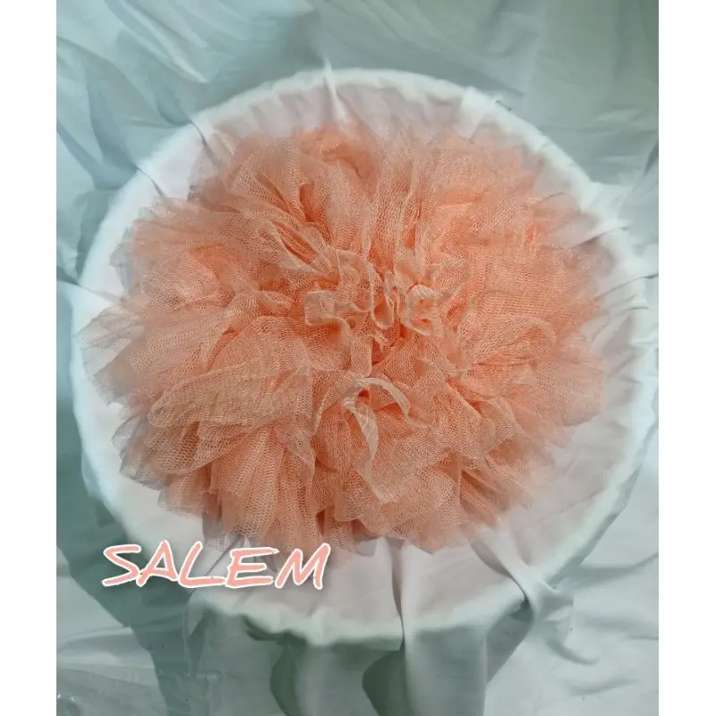 SALEM PASTEL